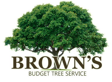 Browns Budget Tree Service