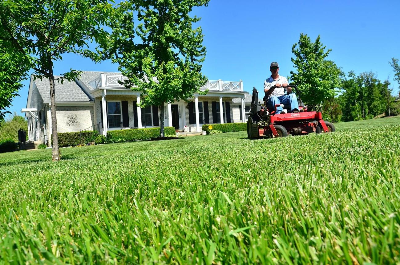 Why Professional Lot Mowing Services Are Essential for Residential and Commercial Properties
